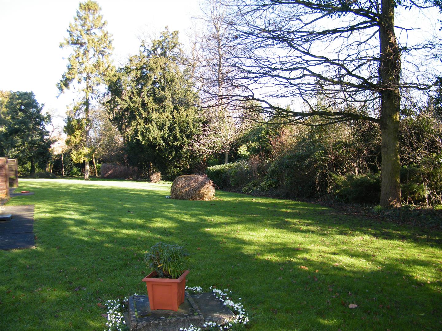 COMMUNAL GARDENS
